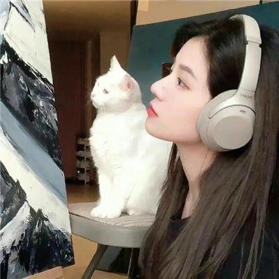 蜘蛛夫人